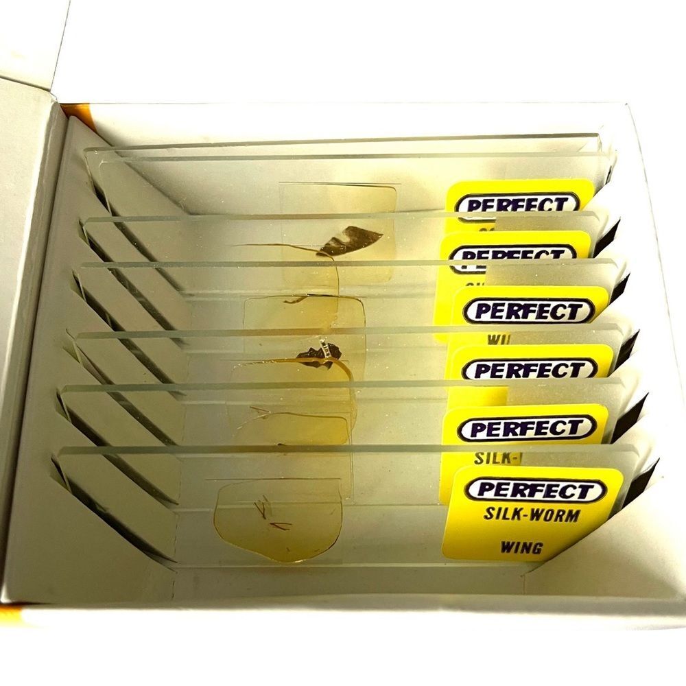 6 Perfect Brand 1” x 3” Prepared Specimen Slides Butterflies and Worms No 810 - Picture 6 of 10